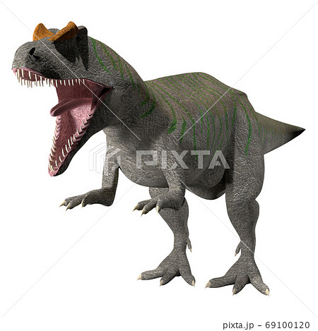 アロサウルス アロサウルス 69100120