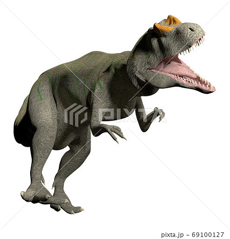アロサウルス アロサウルス 69100127
