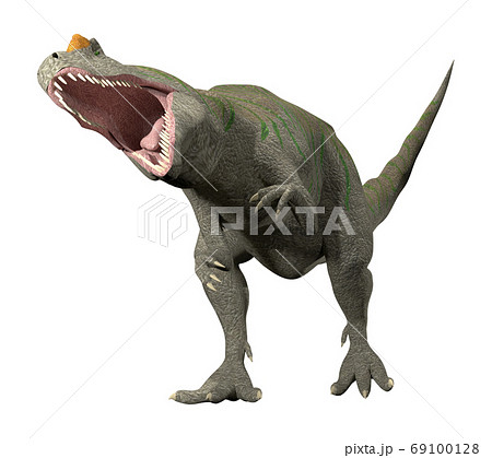 アロサウルス アロサウルス 69100128