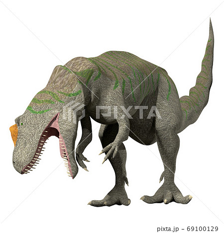アロサウルス 69100129