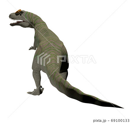 アロサウルス アロサウルス 69100133