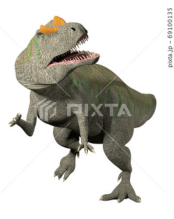 アロサウルス アロサウルス 69100135