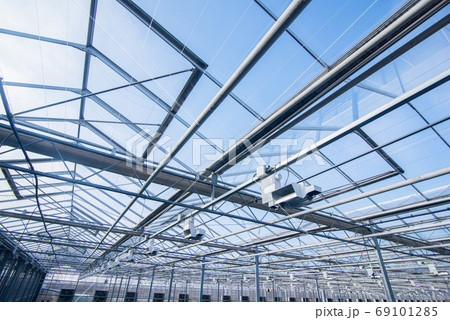 the roof in the greenhouse 69101285