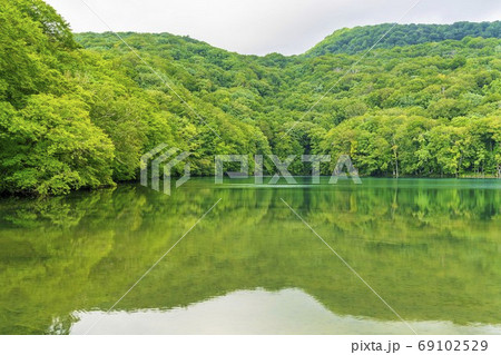 蔦沼の風景　夏　青森県十和田市 69102529