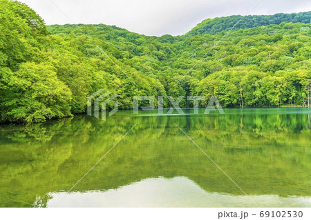 蔦沼の風景　夏　青森県十和田市 69102530