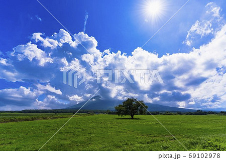 夏の上坊牧野の一本桜と青空 岩手県八幡平市 夏の上坊牧野の一本桜と青空 岩手県八幡平市 69102978