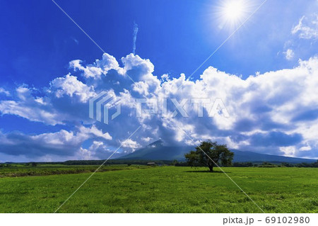 夏の上坊牧野の一本桜と青空 岩手県八幡平市 夏の上坊牧野の一本桜と青空 岩手県八幡平市 69102980