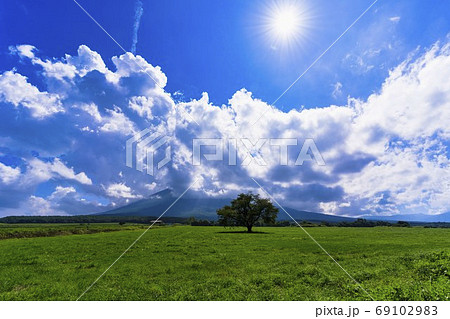 夏の上坊牧野の一本桜と青空 岩手県八幡平市 夏の上坊牧野の一本桜と青空 岩手県八幡平市 69102983