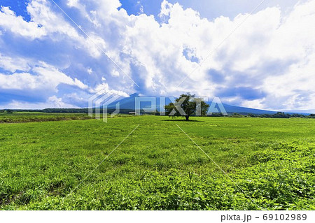 夏の上坊牧野の一本桜と青空 岩手県八幡平市 夏の上坊牧野の一本桜と青空 岩手県八幡平市 69102989