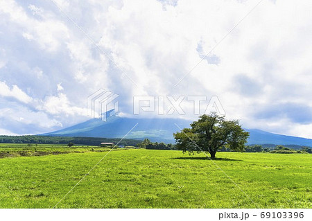 夏の上坊牧野の一本桜と青空 岩手県八幡平市 夏の上坊牧野の一本桜と青空 岩手県八幡平市 69103396