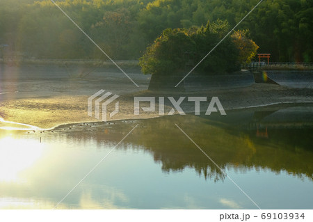 朝日を浴びる龍神池(奈良県奈良市) 朝日を浴びる龍神池(奈良県奈良市) 69103934