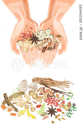 手のひらに漢方生薬を乗せたイラストのイラスト素材