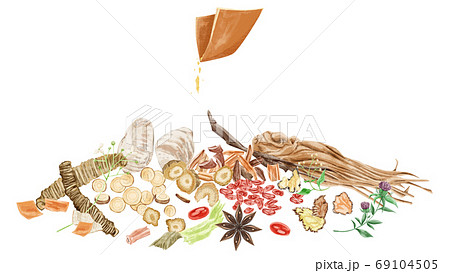 いろいろな種類の漢方生薬集合イラスト 69104505