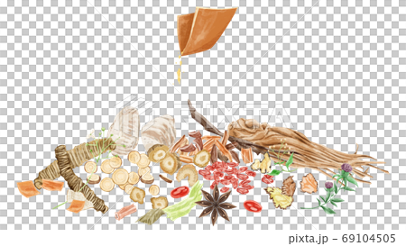 いろいろな種類の漢方生薬集合イラスト 69104505