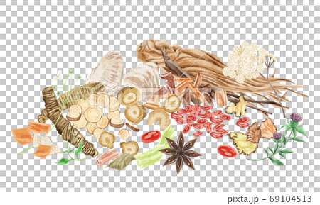 漢方生薬集合イラスト 漢方生薬集合イラスト 69104513