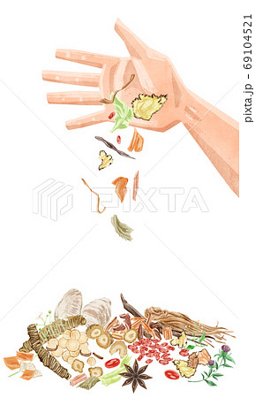 手のひらからこぼれ落ちる漢方生薬イラスト 69104521