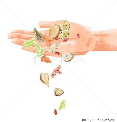 手のひらからこぼれ落ちる漢方生薬イラスト 69104524