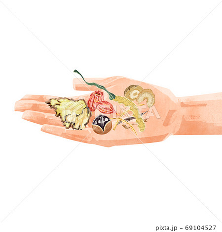 手のひらに漢方生薬を乗せたイラスト 69104527