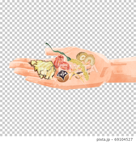 手のひらに漢方生薬を乗せたイラスト 69104527