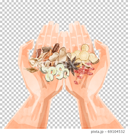 手のひらに漢方生薬を乗せたイラスト 手のひらに漢方生薬を乗せたイラスト 69104532