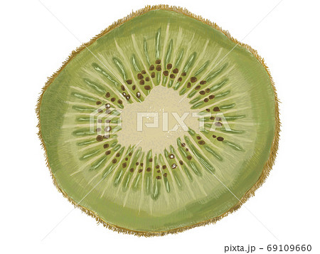 キウイ断面少しいびつ 69109660