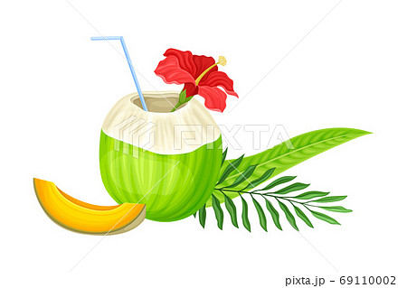Coconut Cocktail with Straw and Palm Leaves as Ecuadorian Summer Refreshment Vector Illustration 69110002