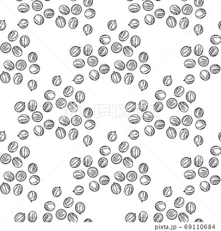 Black Pepper Seamless Pattern Engraving Vintageのイラスト素材