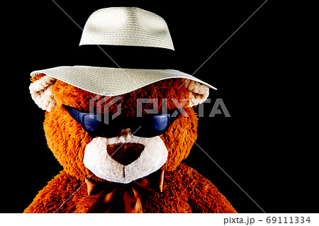 Teddy Bear Wearing a Panama Hat and Sunglasses on a Black Backgr 69111334