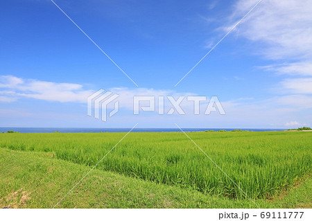 佐渡ヶ島の日本海の夏景色と水田 69111777