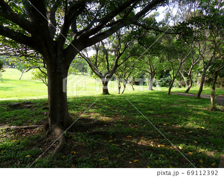 Nature landscape of Sheding Natural Park in Kenting National Par 69112392