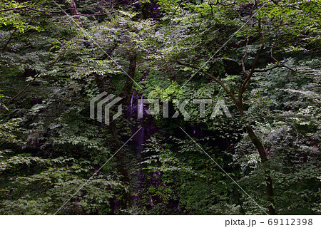 スッカン沢、那須塩原、栃木 69112398