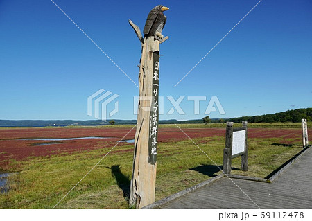 日本一サンゴ草群落地・網走国定公園 69112478