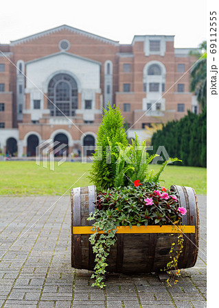 Close up shot of a Oak barrel with many flowers 69112555