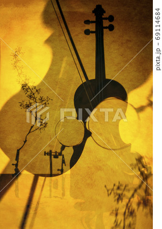 Abstract collage with violin made using double exposure 69114684
