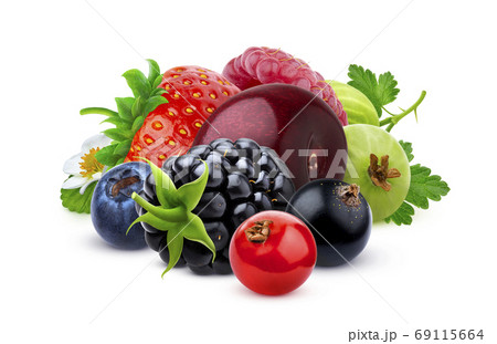 Fresh forest berries isolated on white background 69115664
