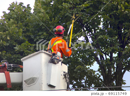 trimming tree in boom lift nacelle branch cutting trimming tree in boom lift nacelle branch cutting 69115749
