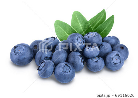 fresh blueberry with leaves isolated on white background closeup. Clipping path and full depth of field fresh blueberry with leaves isolated on white background closeup. Clipping path and full depth of field 69116026