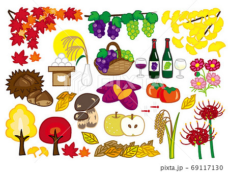 秋の植物 食べ物のかわいいイラストセットのイラスト素材