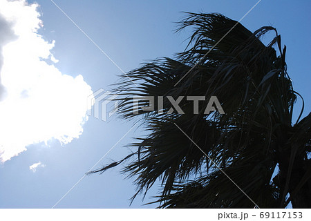 暴風 暴風 69117153