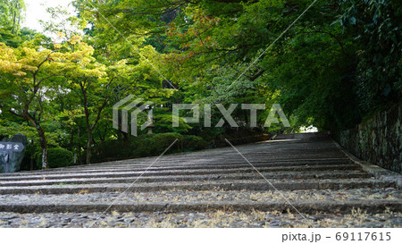 広くなだらかな石段の光明寺の参道 69117615