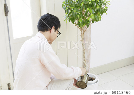 男性　植物に水をあげる 69118466
