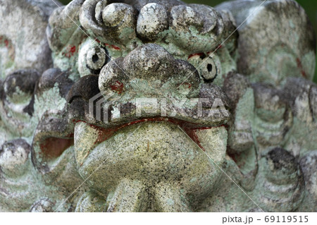奥石神社5980 奥石神社5980 69119515