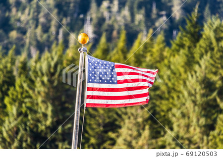 USA flag waving on forest outdoor background. American symbol. 69120503