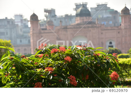 バングラデシュのダッカ　未完の城跡のラールバーグ・フォート　庭園に咲く赤い花と歴史的な古い廟 69120970