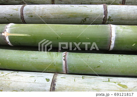 伐採された竹 69121817