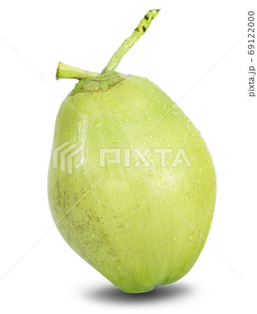 water drop green coconut an isolated on white background water drop green coconut an isolated on white background 69122000
