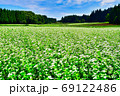 防風林とソバ畑 69122486