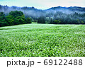 朝靄がかるソバ畑 69122488