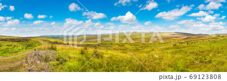 Fields of heather in Scotland 69123808