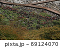 たくさんの地蔵が棲む火山地帯 69124070
